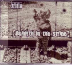 XTRiPx : [Re:Birth in the stripe]